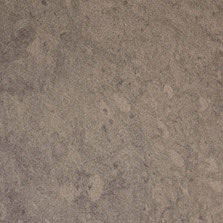 Grigio Ostrica